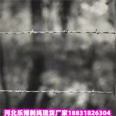 \KS2.2׵·B(yng)oFzW(wng)F(xin)؛(yng)