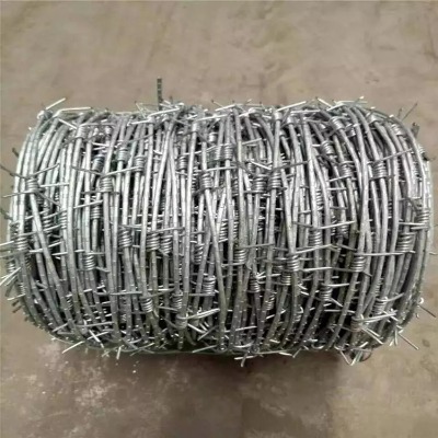 FzSҹ(yng)P䓴K306K