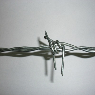 FzSҹ(yng)@F޼pvcܴ̾W(wng)