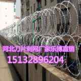 㽭P䓵Ƭ̾W(wng)С^(q)W(wng)ɽKo(h)W(wng)