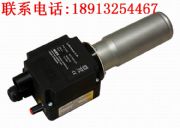 herzI(y)L(fng)s36leisterfle3000