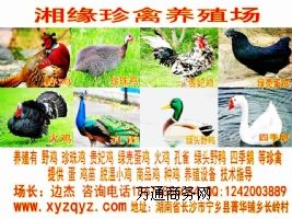 hۿhҰu|u|u|Fu|Gu|ȸ|G^Ұ|