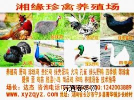 ϿhGu;ҽhȸ;G^Ұ;hļZ