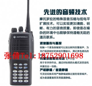 (yng)Ħ_GP328vC