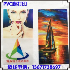 PVC膜萬(wàn)能打印機(jī) 博易創(chuàng)塑料膜打印機(jī)