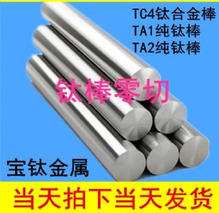 tc4⁺Ͻ  Ӳȸ  ͸g  u
