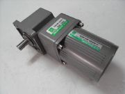 三相直交中實(shí)軸減速電機(jī)