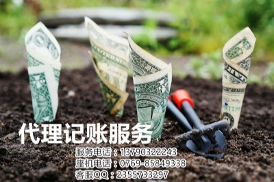 專業(yè)東莞虎門現(xiàn)代服務(wù)業(yè)代理記賬服務(wù)