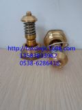 qx103232qx103233Ǹgdؿyо