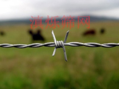 ϴFzSֱN3