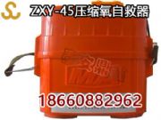 zxy-60sԾSңVԾ̖