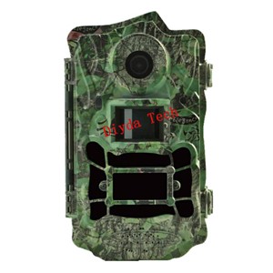 diyda3000ftC