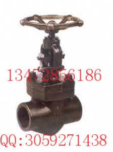 800lb䓽ֹy