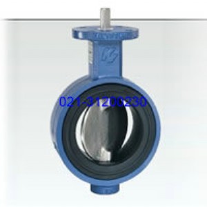  TYCO KEYSTONE F14{(dio)(ji)y