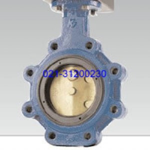 TYCO KEYSTONE F221(jng)(j)͵y