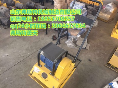 弗斯特 夯力效果超佳省力的振動(dòng)打夯機(jī) 圖片