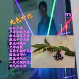 Gһּ˾