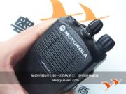 Ħ_GP3688(du)vC(j)