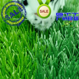 Gltlds503\ӲΆνzƺ