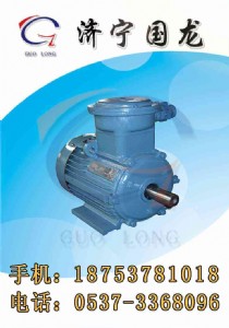 YB2ϵ늙C(j),YBK3늙C(j)