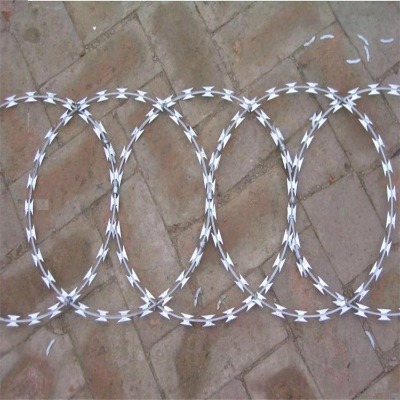 cbt-60O(jin)zo(h)W(wng)W(wng)O(jin)zo(h)