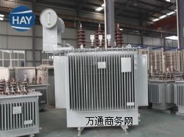 S11-501600/35KV׃    ֻ