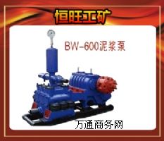 BW-600{͆û
