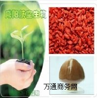 (yng)轶
