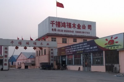 ȩB(ti)