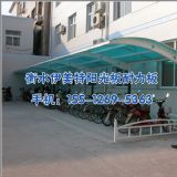 (yng)尲b尲b