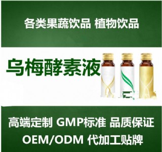 酵素原液來(lái)料灌裝生產(chǎn)廠家 上海孚吉承接水果酵素加工