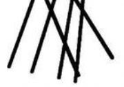 F(yng)O