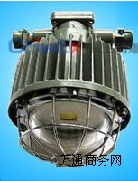 DGS48/127L礦用隔爆型LED巷道燈