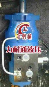 制動液壓馬達整體結(jié)構(gòu)
