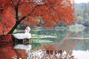 ʥzӰݻ鼆չԃrȸ߻鼆ʲôrĺ