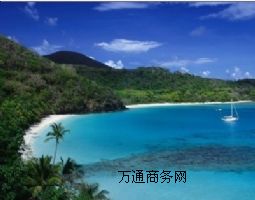 BVI公司的要求
