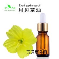 ȻҊ(jin)CAS90028-66-3