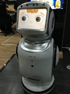 СC