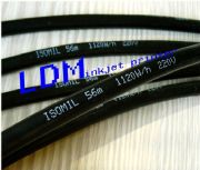 (yng)LDM늾|aC(j)(D)
