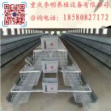 供應(yīng)雞籠 階梯式蛋雞籠 層疊式蛋