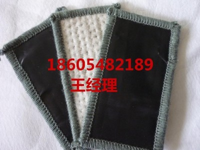 咸陽天然防水毯