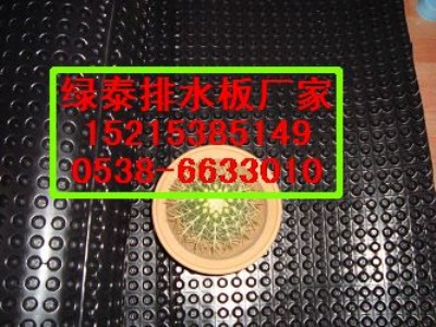 6ˮ壩a(chn)S҃rF(xin)؛(yng)15215385149
