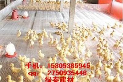 B(yng)ϾW(wng);uB(yng)ֳW(wng)