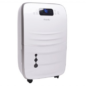 (gu)M(fi)˹Z(finesky)M(jn)ڼóC(j)19l