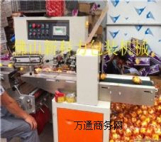 雙個(gè)柑橘臍橙包裝機(jī)