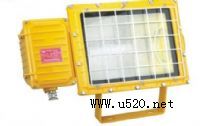 (yng)BFC8110
