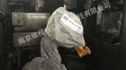 鍛造自動(dòng)化生產(chǎn)線 橄欖枝工業(yè)機(jī)器人設(shè)備