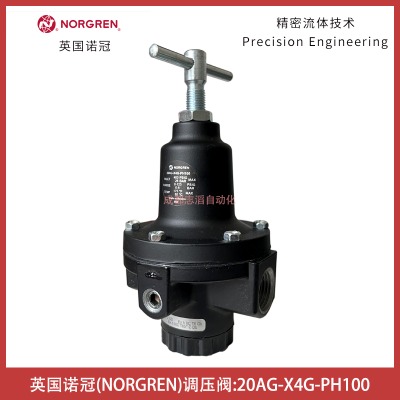 20ag-x4g-ph100ӢZnorgren{(dio)y