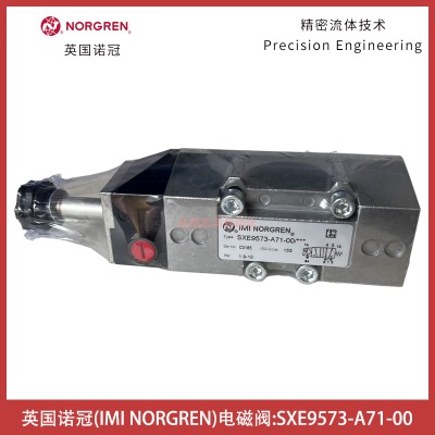 sxe9573-a71-00Ӣ(gu)norgren늴y
