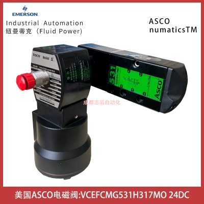 VCEFCMG531H317MO˹ASCO늴y
